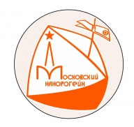 Московский Нанорогейн 2020. 6 этап