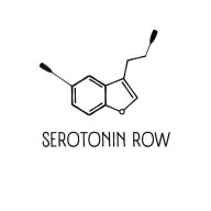 SEROTONIN ROW 2022 - водный рогейн в Москве