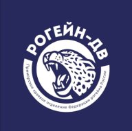 Финал Кубка Рогейн-DV